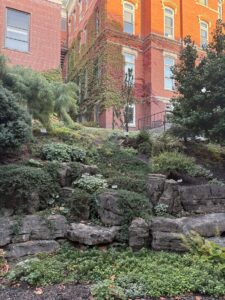 A photo of the backside of Trowbridge hall full of greenery and pops of red and yellow colors
