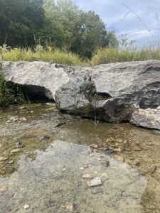 A small trickle of water falls off a ledge into a little pond, forming a tiny waterfall.