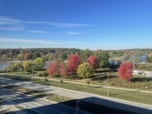 A photo taken from Kiah's dorm, overlooking several trees in various stages of turning red.