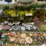 Shelves in shop showing various rocks and plants